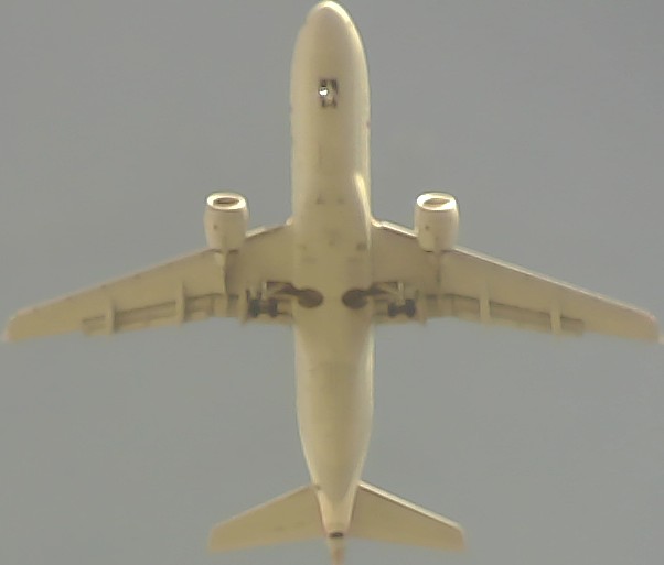 Airplane Picture