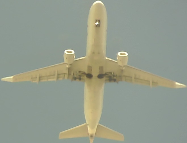 Airplane Picture