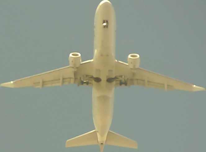 Airplane Picture