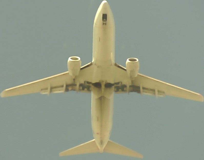 Airplane Picture