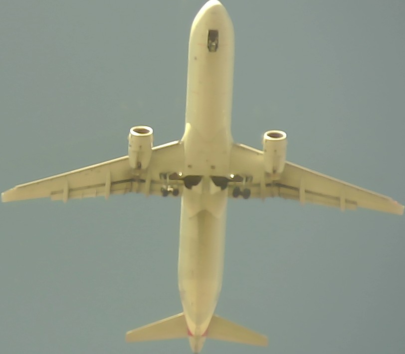 Airplane Picture