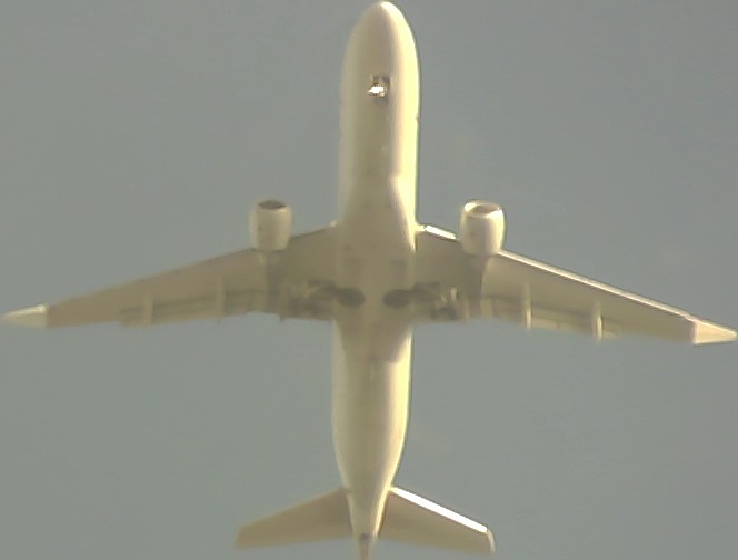 Airplane Picture