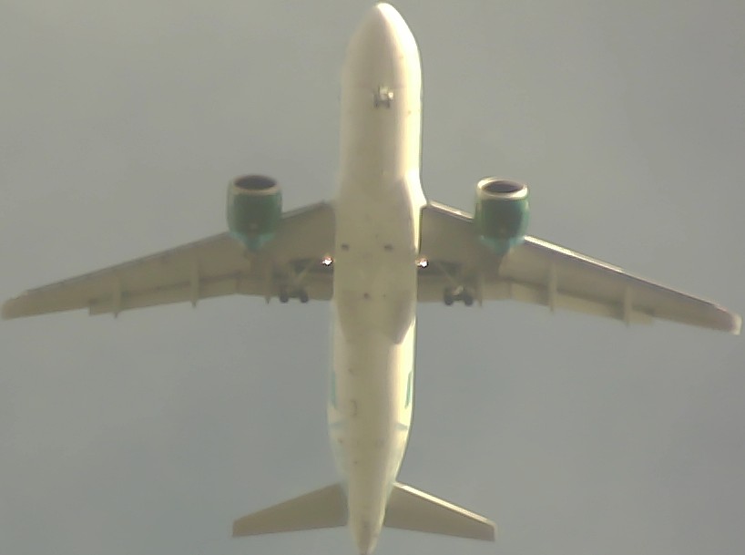 Airplane Picture