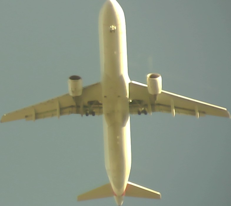 Airplane Picture