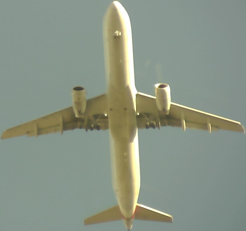 Airplane Picture