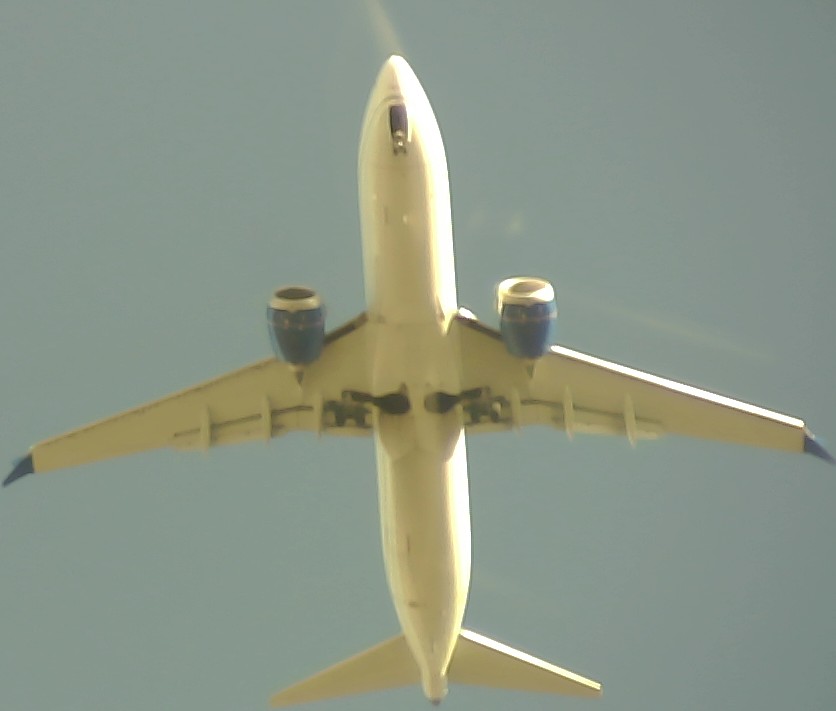 Airplane Picture