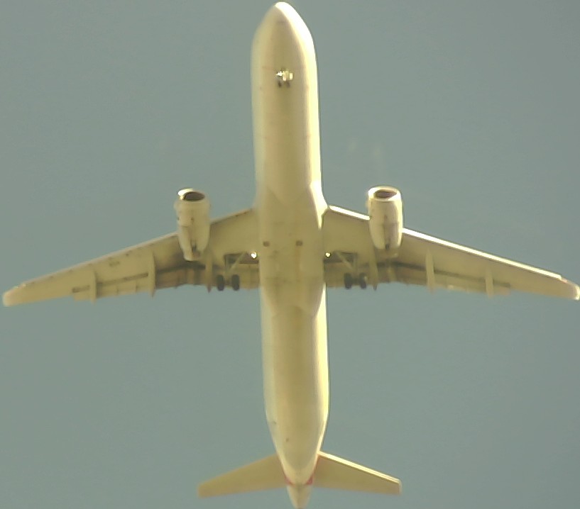 Airplane Picture