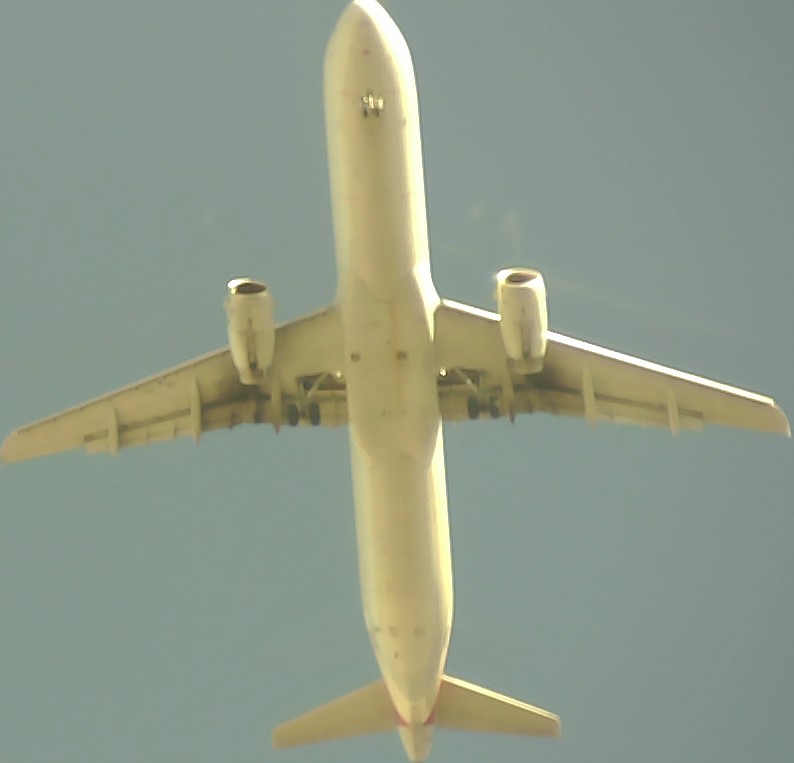 Airplane Picture
