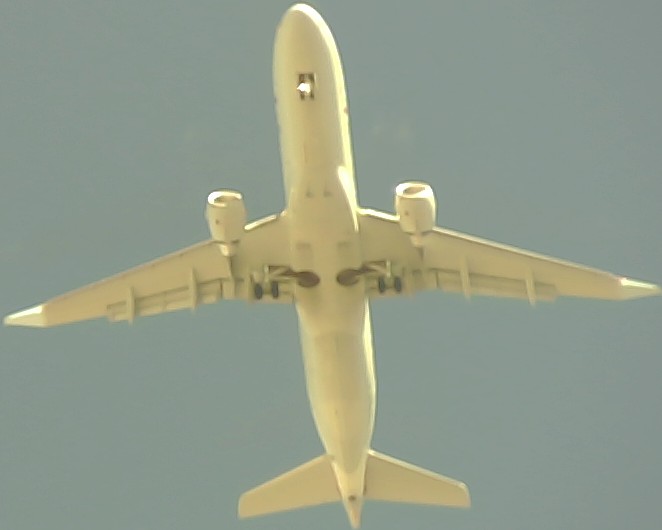 Airplane Picture