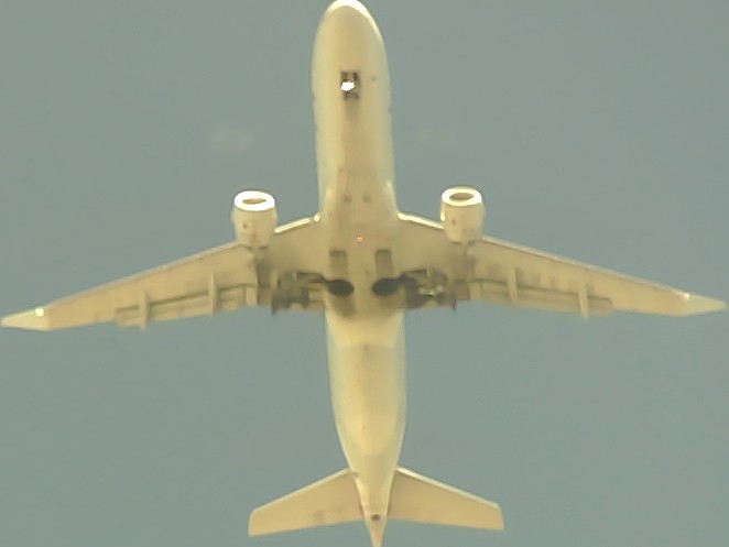 Airplane Picture