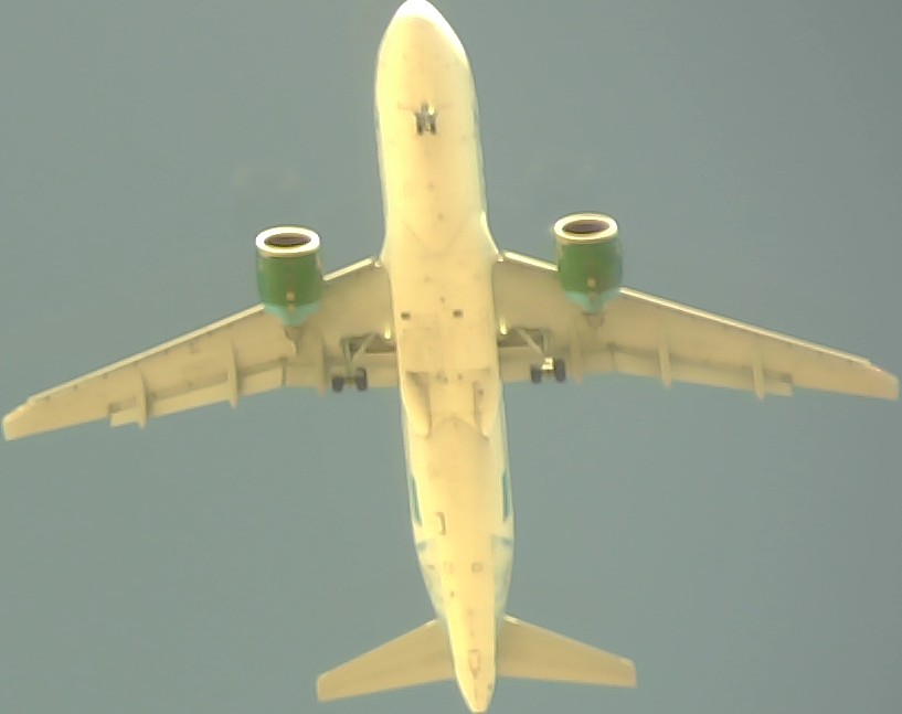 Airplane Picture