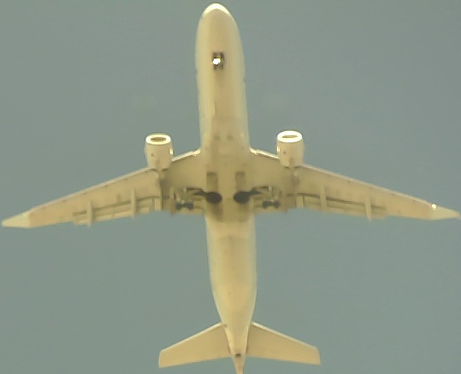 Airplane Picture