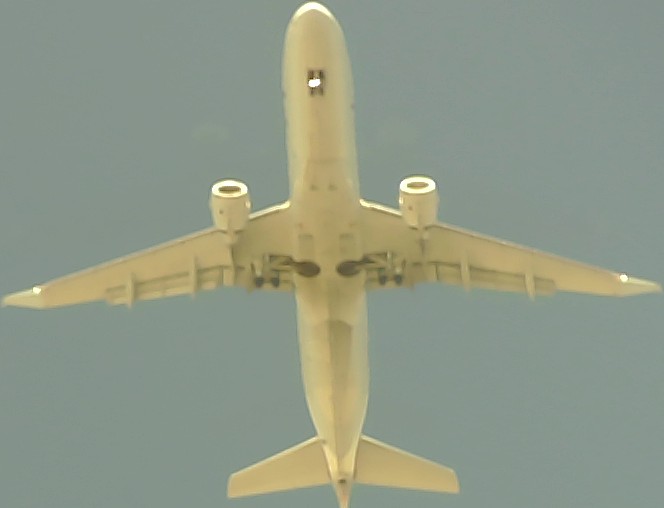 Airplane Picture