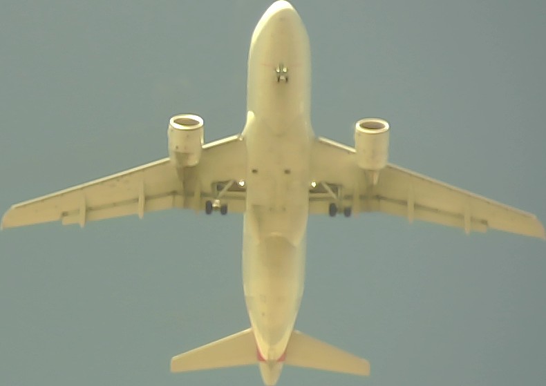 Airplane Picture