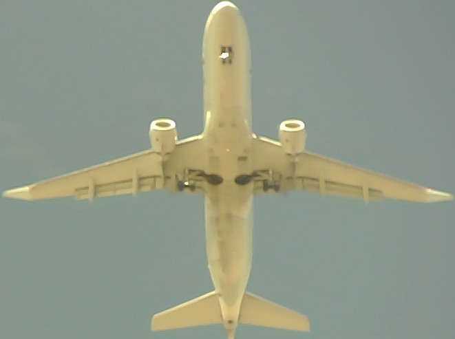 Airplane Picture