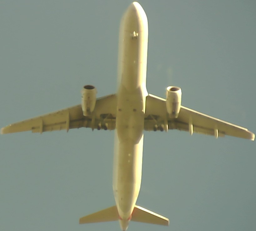 Airplane Picture