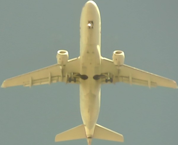 Airplane Picture
