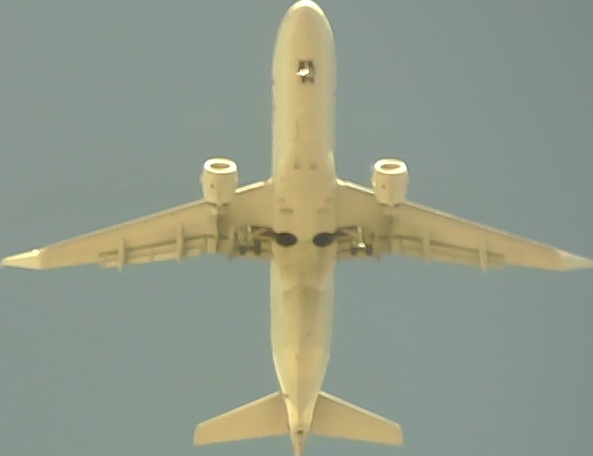 Airplane Picture