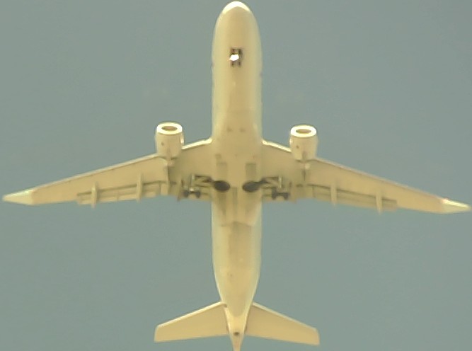 Airplane Picture