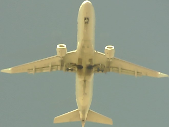 Airplane Picture