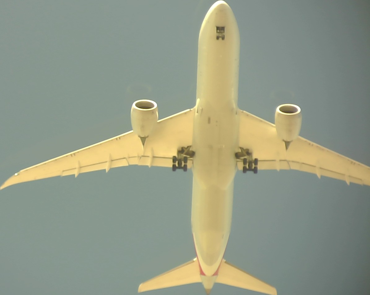 Airplane Picture