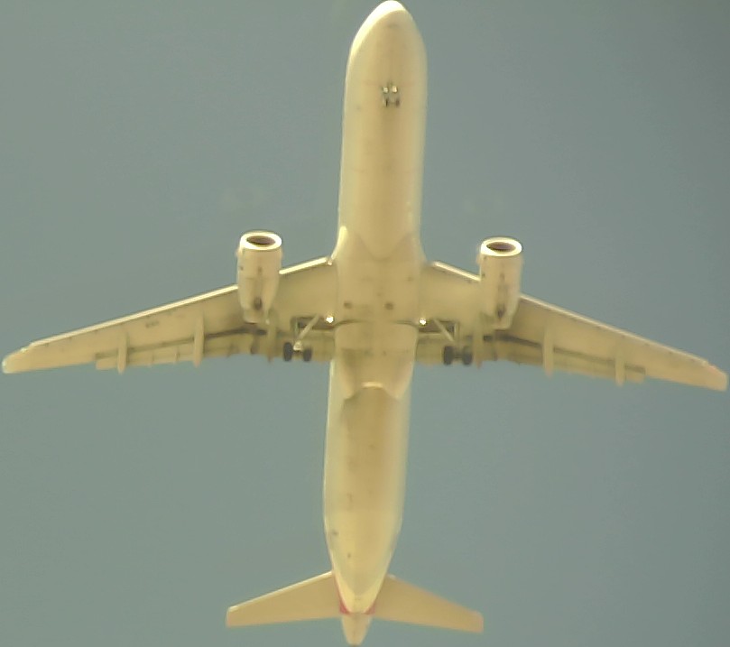 Airplane Picture