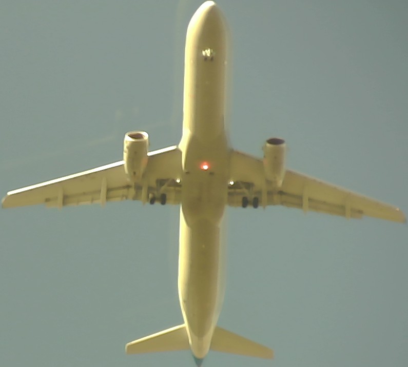 Airplane Picture