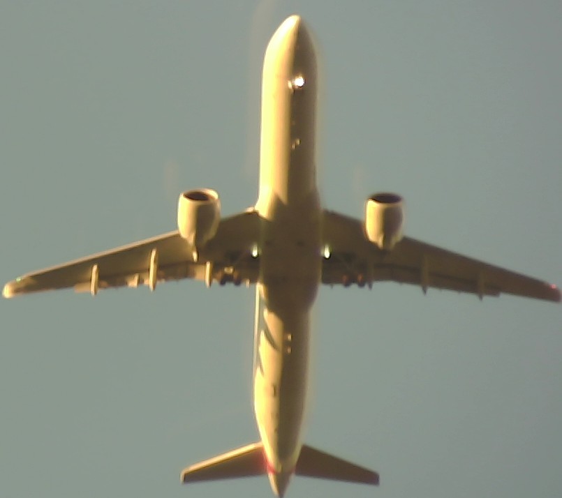 Airplane Picture