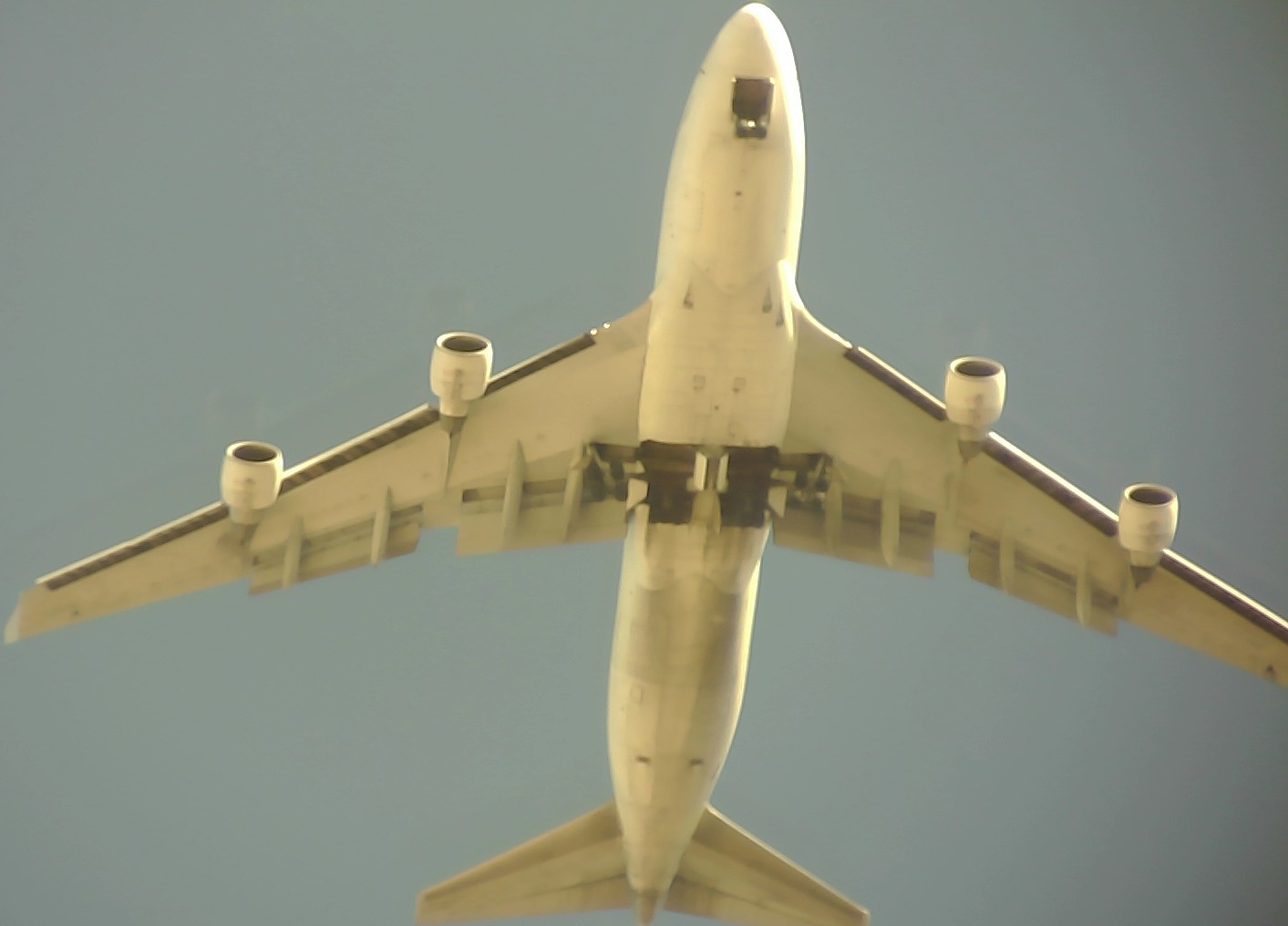 Airplane Picture
