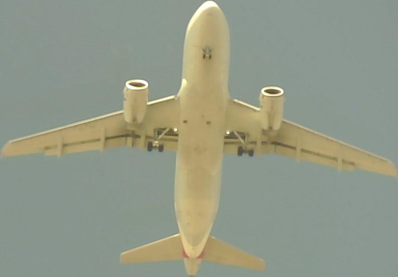 Airplane Picture