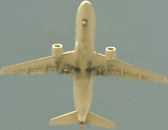 Airplane Picture
