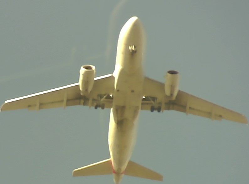 Airplane Picture