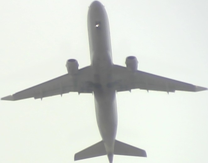 Airplane Picture