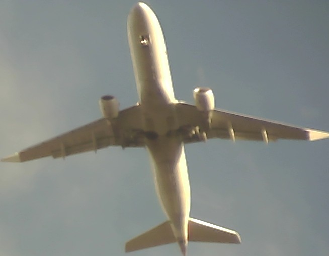 Airplane Picture