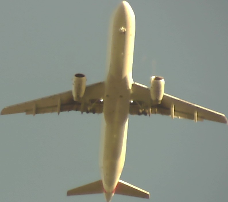 Airplane Picture