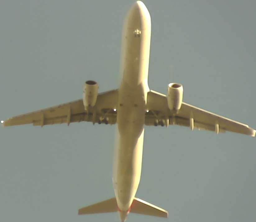 Airplane Picture