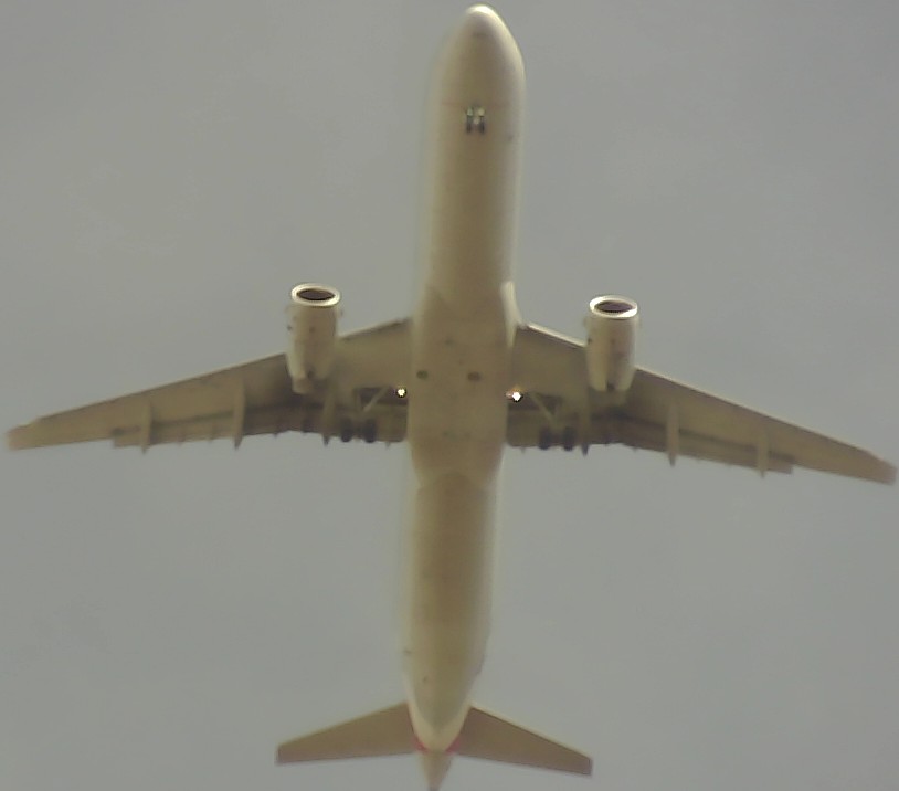 Airplane Picture
