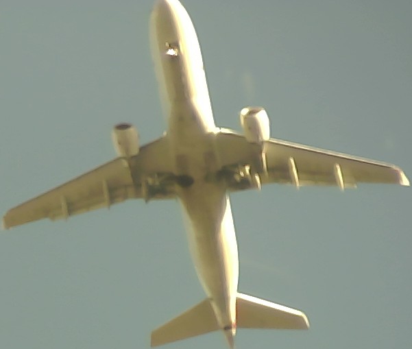 Airplane Picture