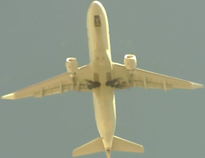 Airplane Picture