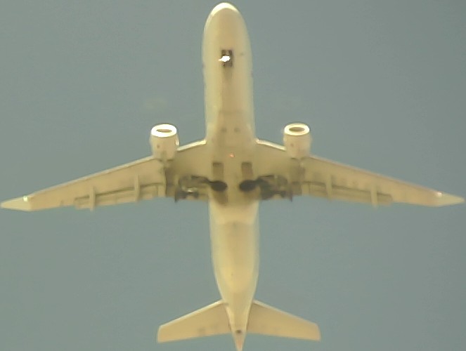 Airplane Picture