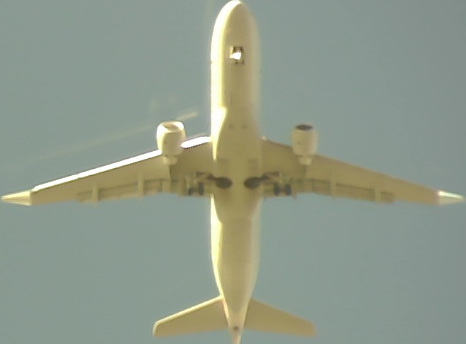 Airplane Picture