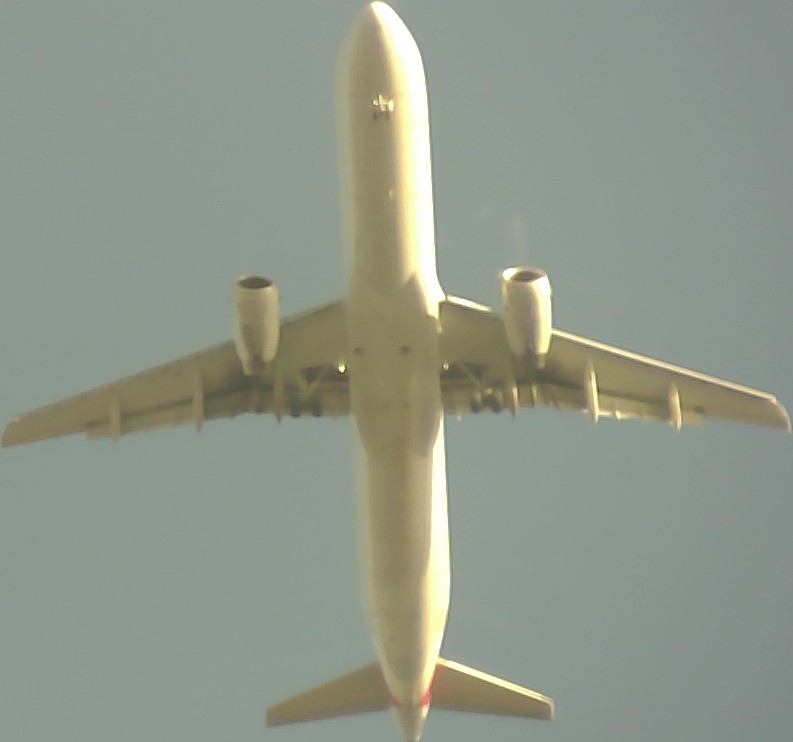 Airplane Picture