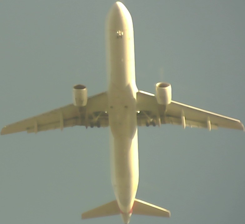 Airplane Picture
