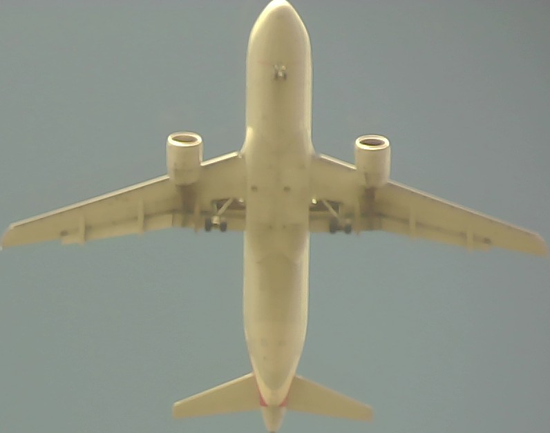 Airplane Picture