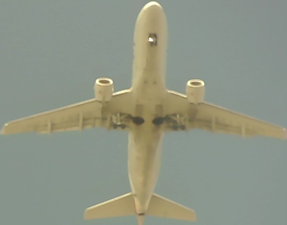 Airplane Picture