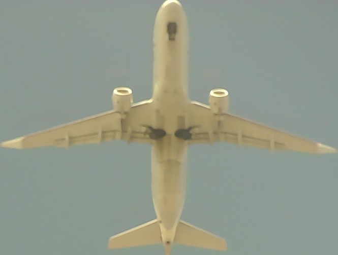 Airplane Picture