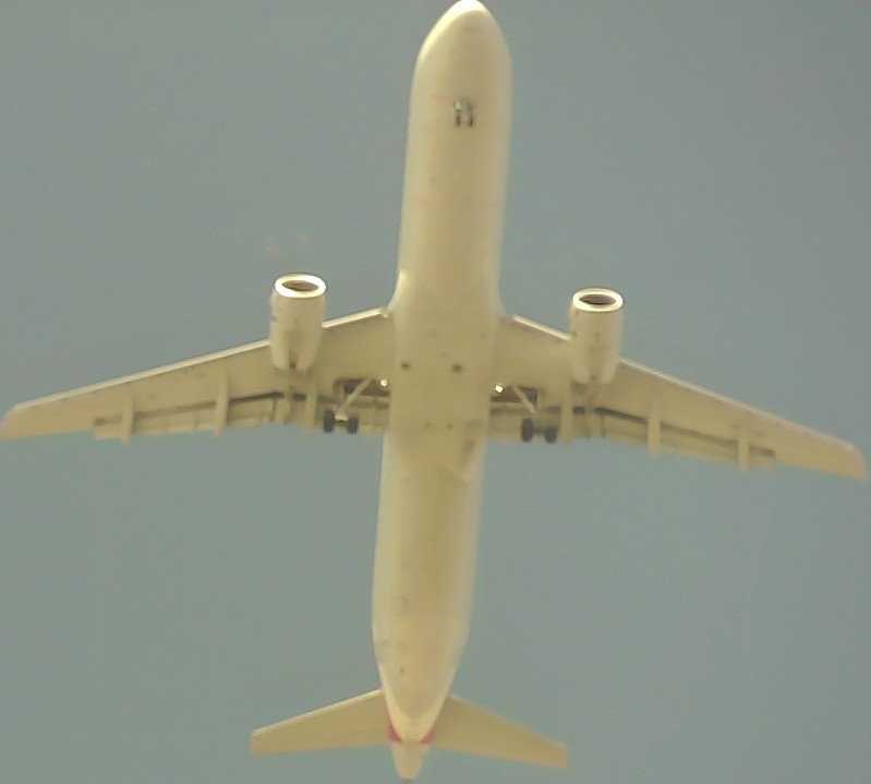 Airplane Picture