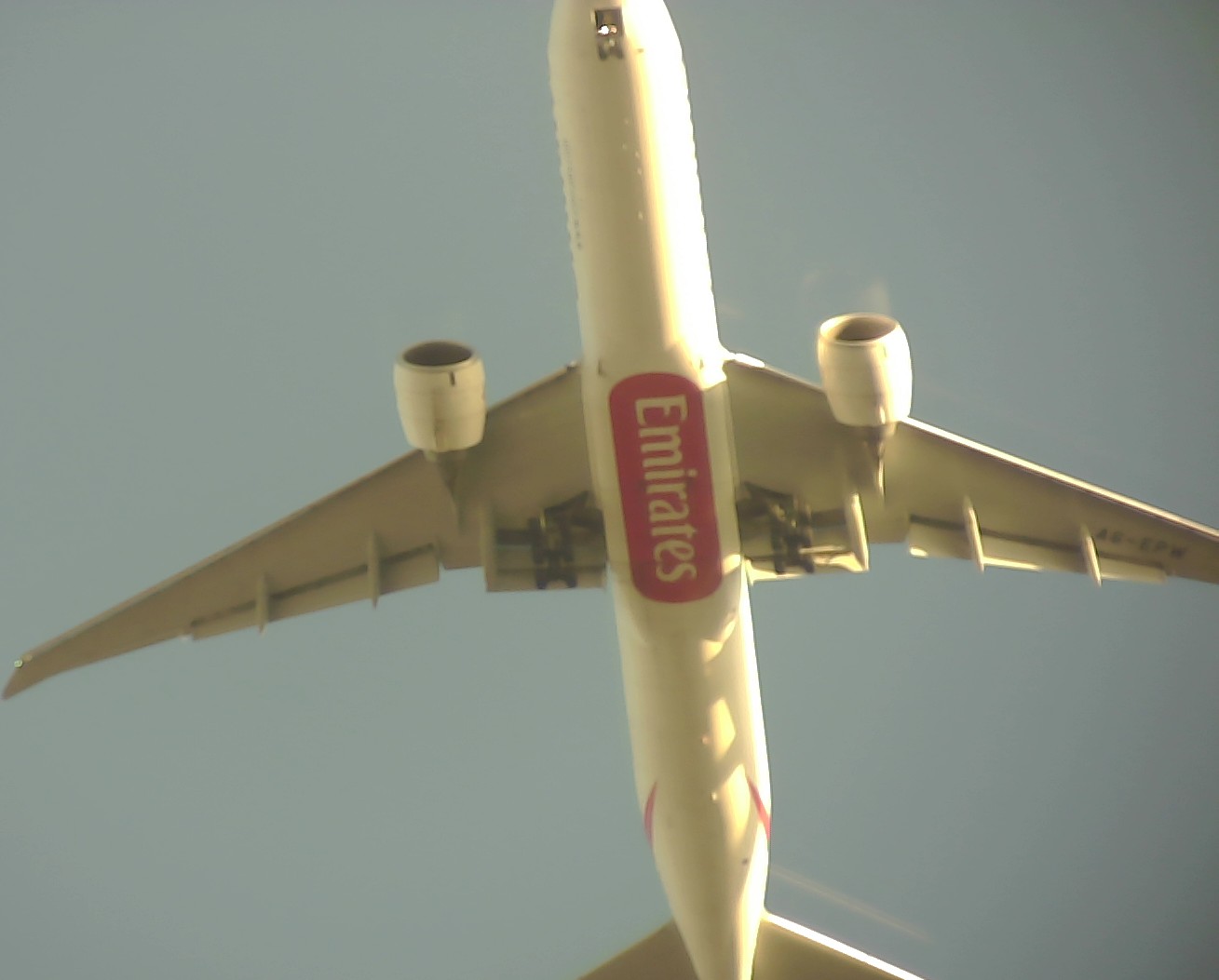 Airplane Picture