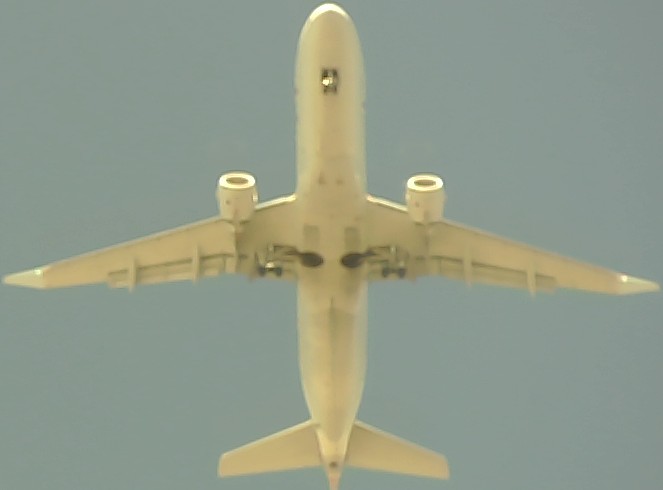 Airplane Picture