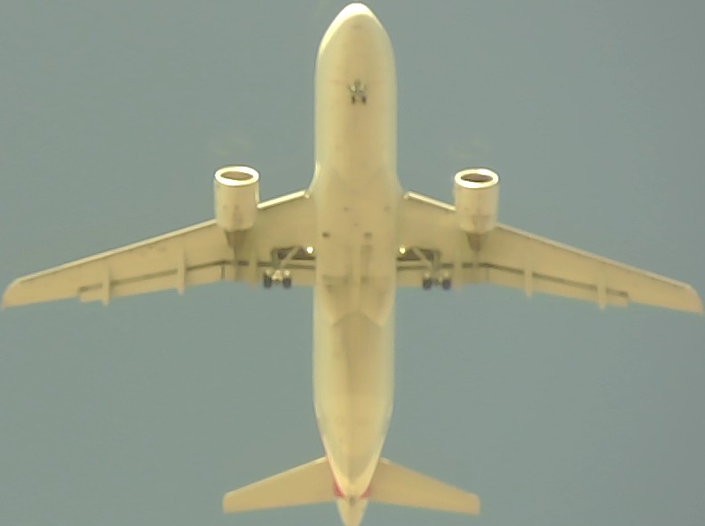 Airplane Picture